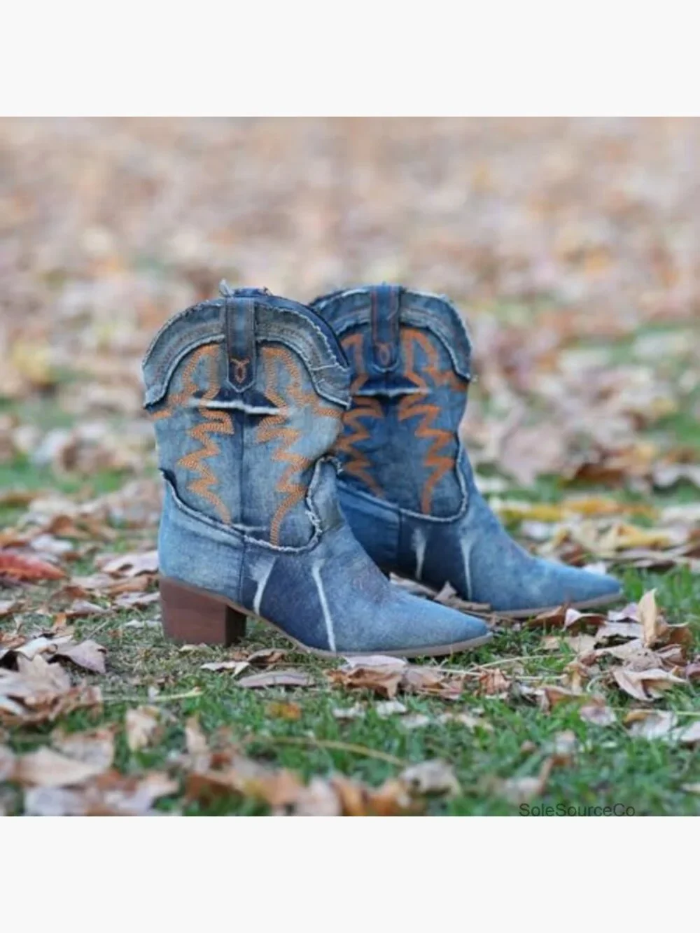 Embroidered Cowgirl Ankle Booties Pointed Toe Low Chunky Heel Western Boots